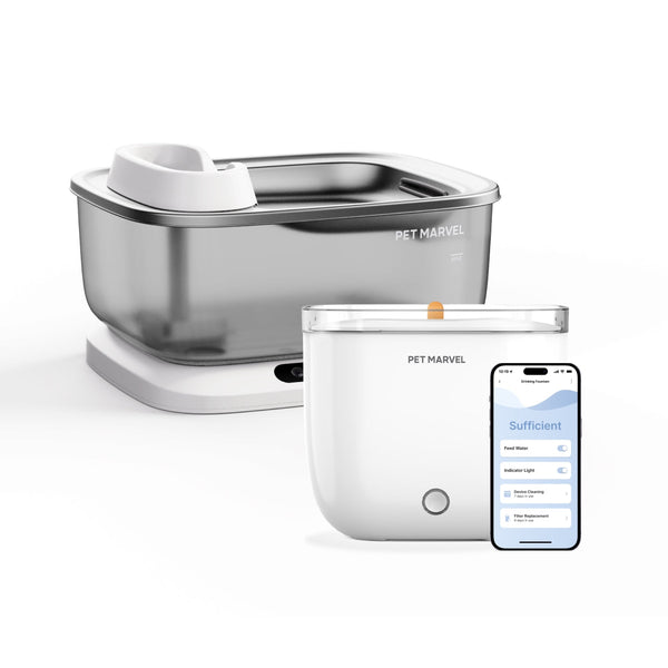 Cordless Dog Fountain & Smart Fountain Bundle