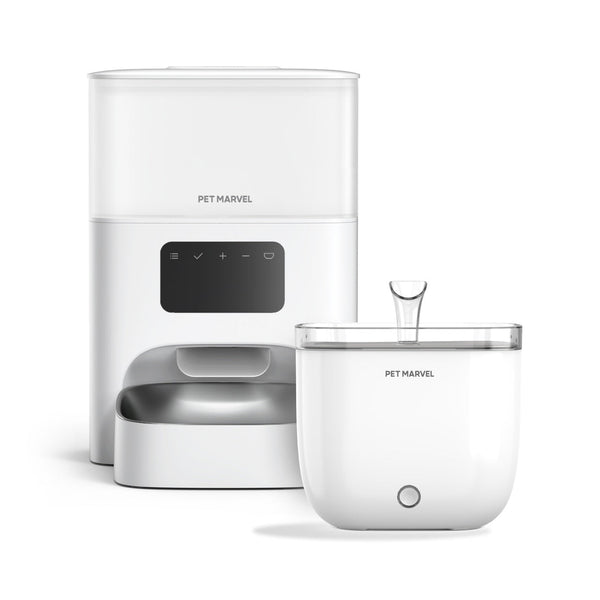 Faucet-Inspired Cat Fountain & Automatic Feeder Bundle