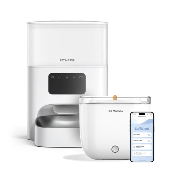 Smart Cat Fountain & Automatic Feeder Bundle